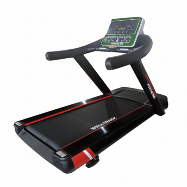 Cardiac Treadmill
